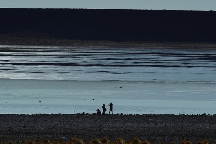 Espejo de agua de la Laguna Blanca en la estepa patagónica del Neuquén